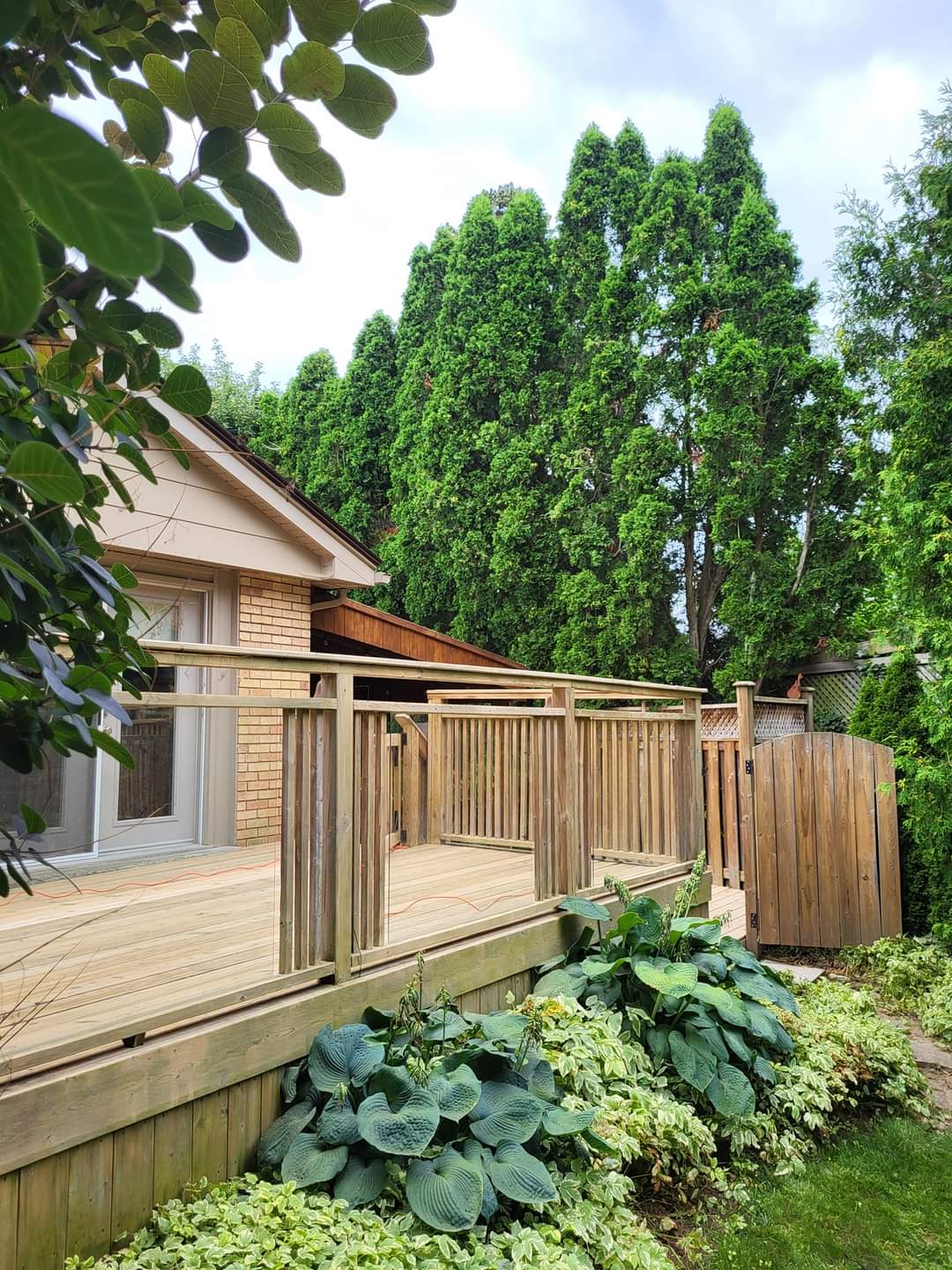 Restored wooden deck and privacy screen beside a garden